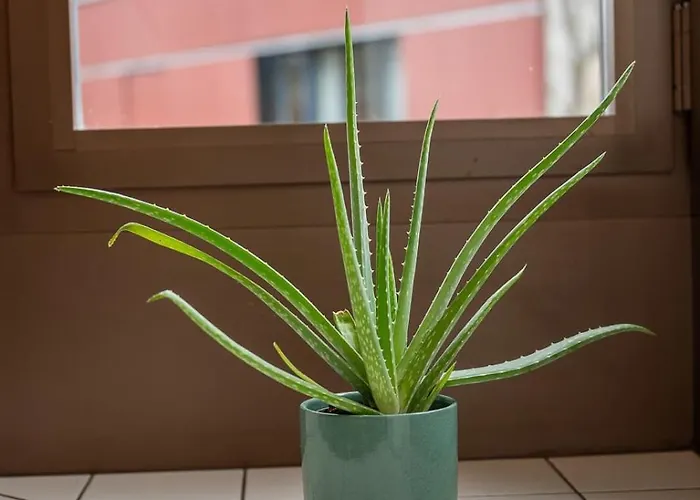 Flat - Balcony & Bundeshaus View 公寓 *